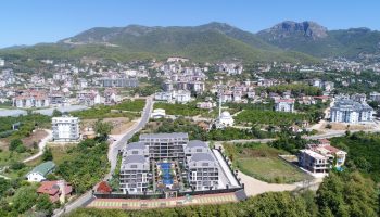 Zoom in