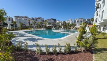 Zoom in