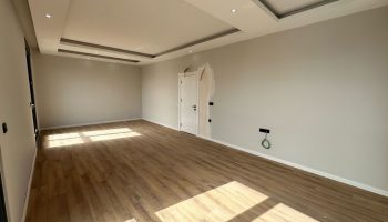 Zoom in