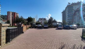 Zoom in