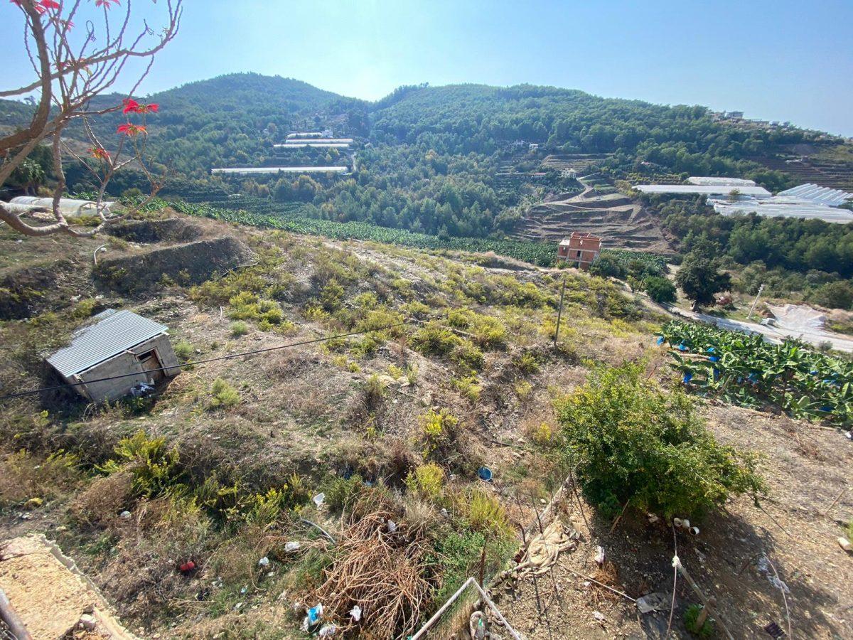 U4240 - Photo 2