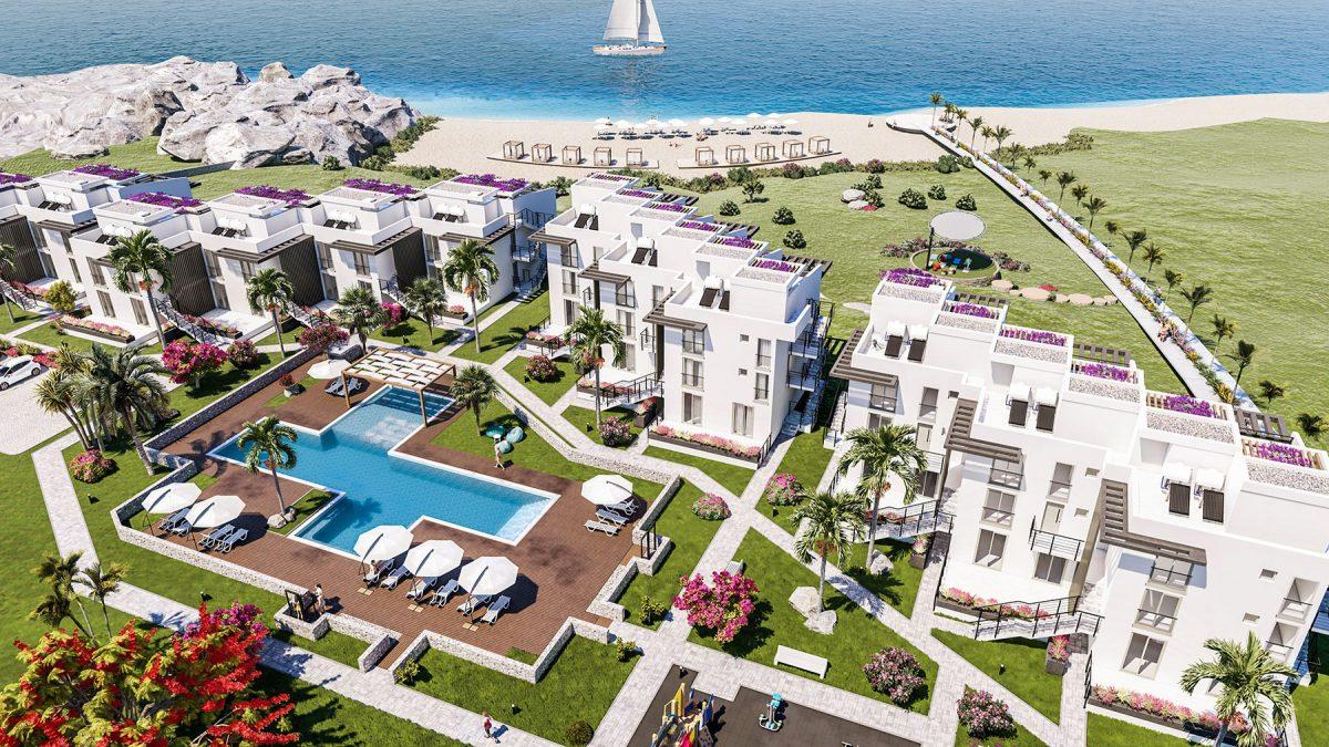 Spacious modern project by the sea - Umbrella Group