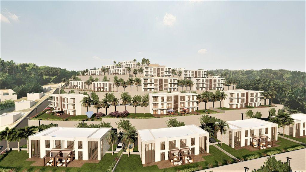 Project with stunning species characteristics 400 meters from the sea - Umbrella Group