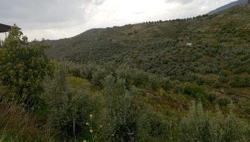 Zoom in