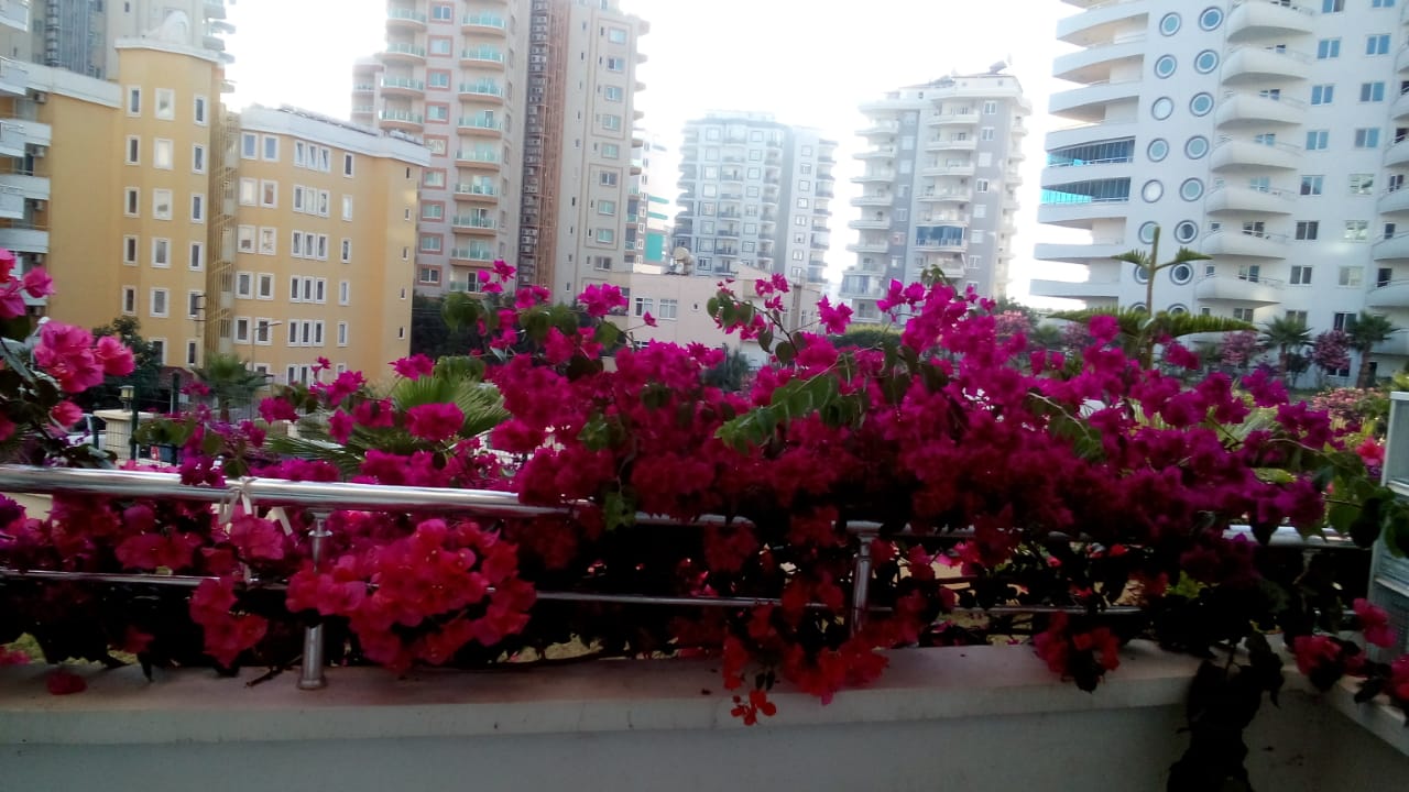 U4992 - Photo 18