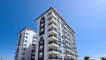 Zoom in