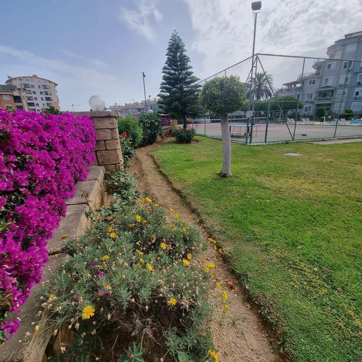 Cosy two bedroom apartment in Jikjilli district - Umbrella Group - Photo 19