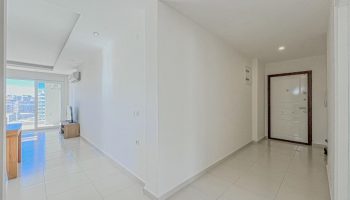 Zoom in