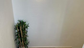 Zoom in