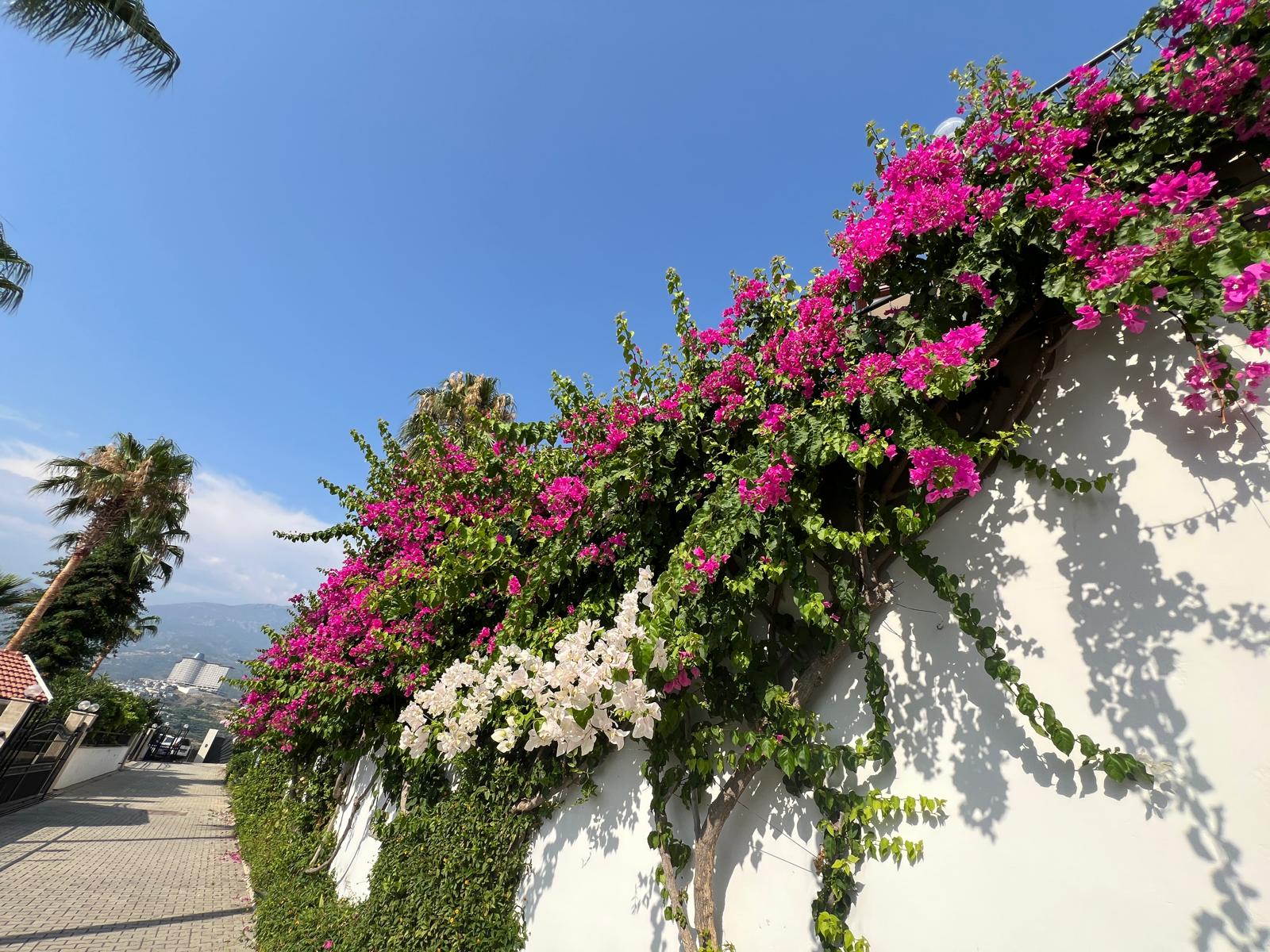 Spacious 4+2 villa in Kargyjak district - Umbrella Group - Photo 11