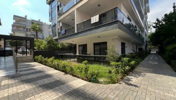 Zoom in