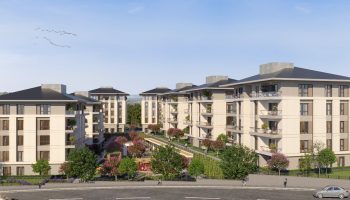 Zoom in