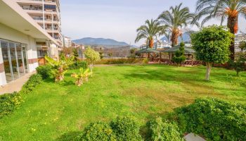Zoom in