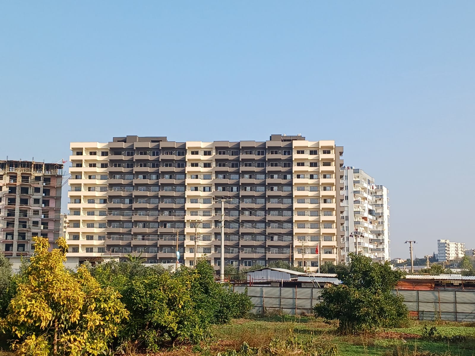 U6589 - Photo 3