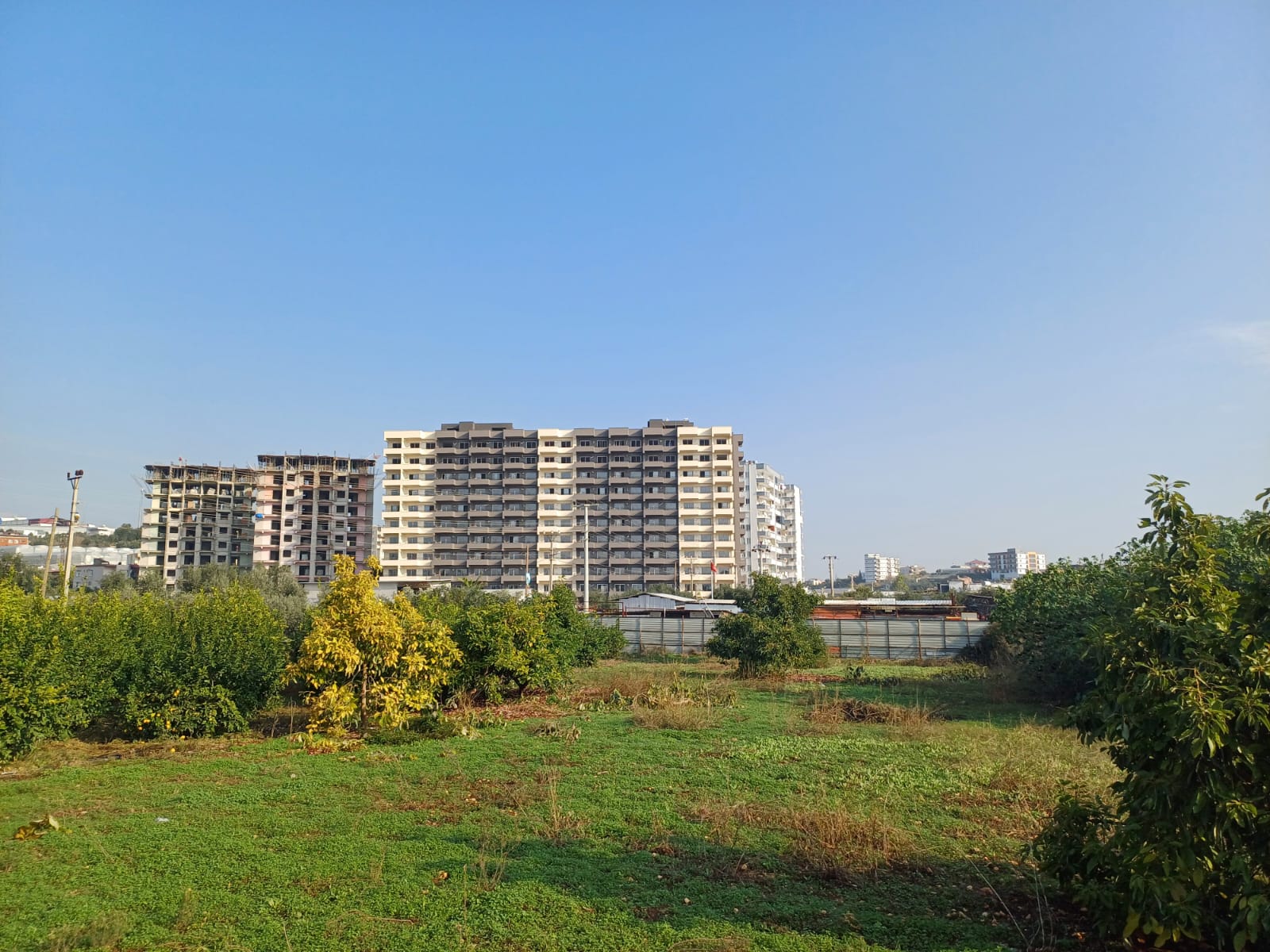 U6589 - Photo 4