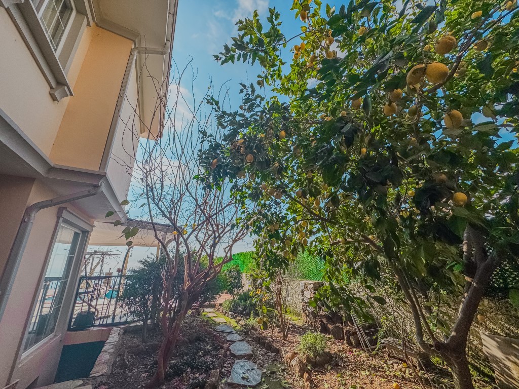 U6756 - Photo 6