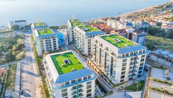 Zoom in