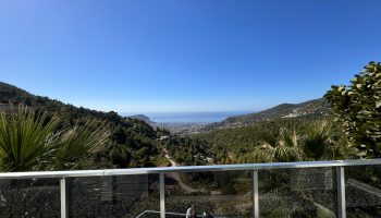 Zoom in