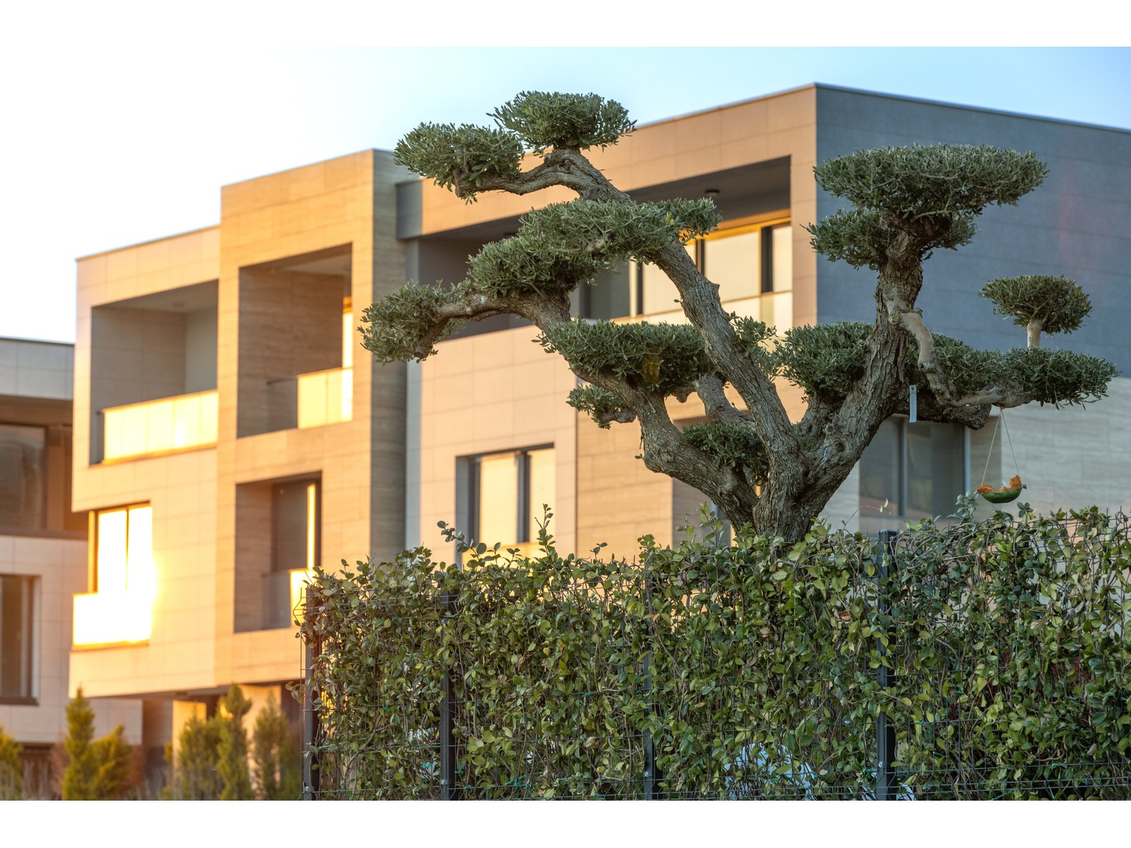 Paşa Country — Spacious Villas with Private Gardens and Swimming Pools in Izmir - Photo 5